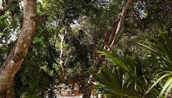 La Semilla 4* Playa del Carmen